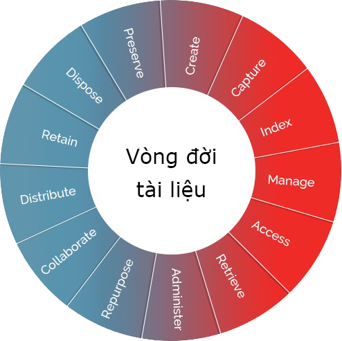 doument-circle-of-life---trans-VN