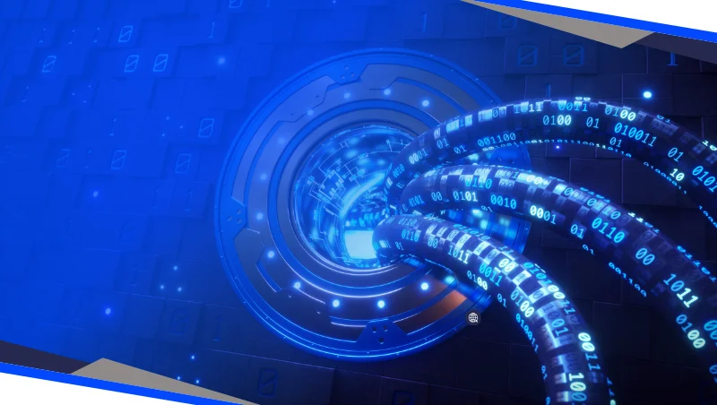 it asset management ibm
